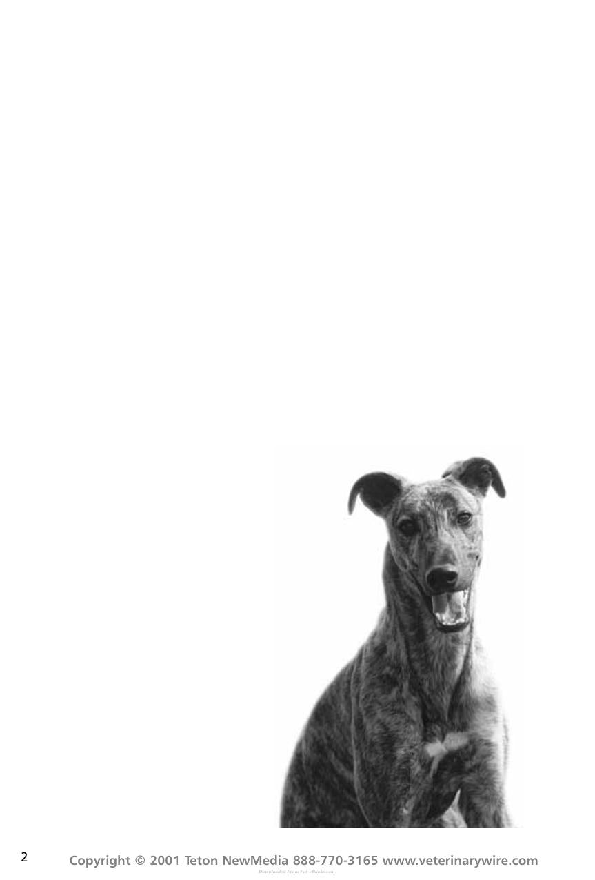 Thoracic Radiology For The Small Animal Practitioner