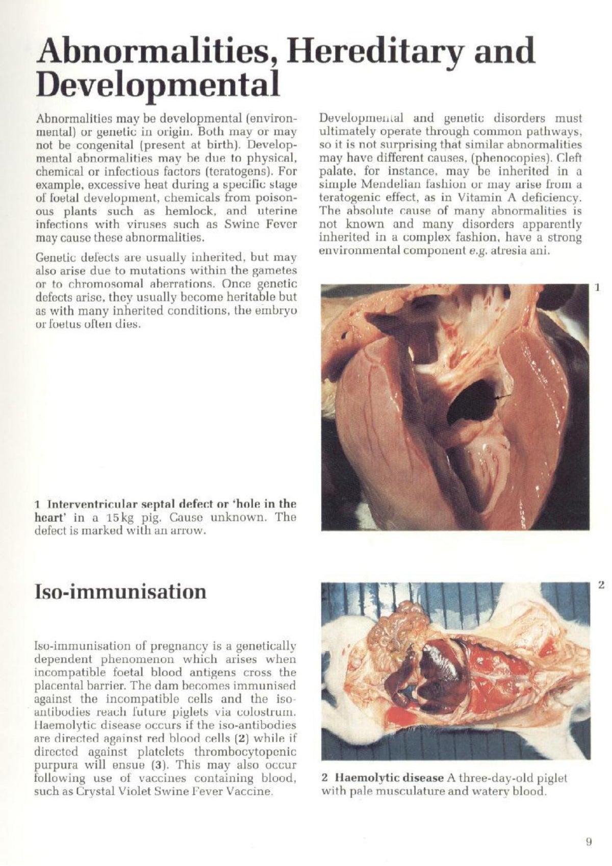 Look inside — page 3