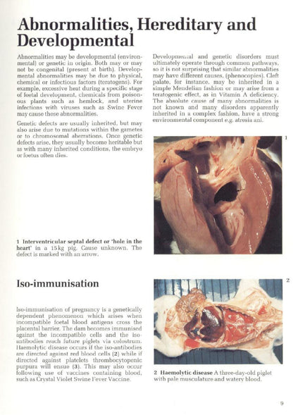 Look inside — page 3