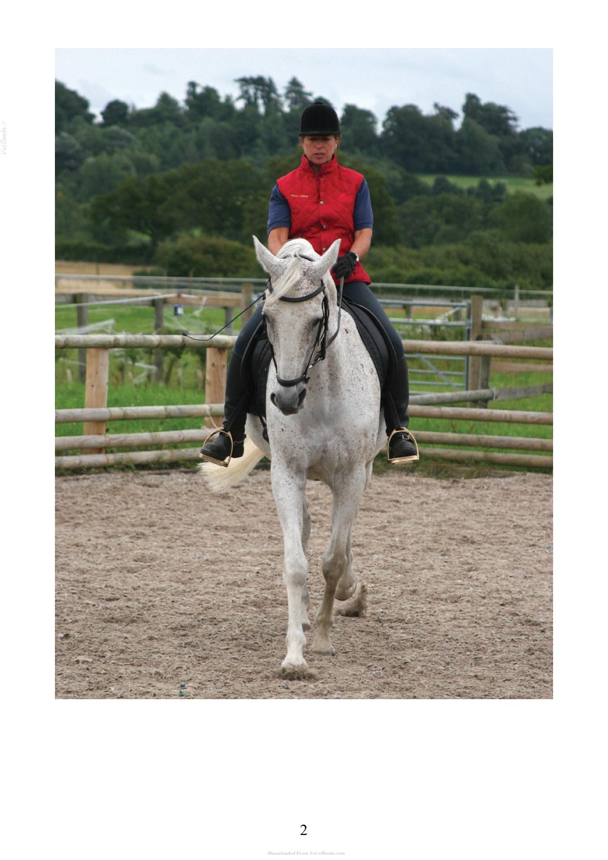 The Psychology Of Horsemanship Understanding The Horse And You