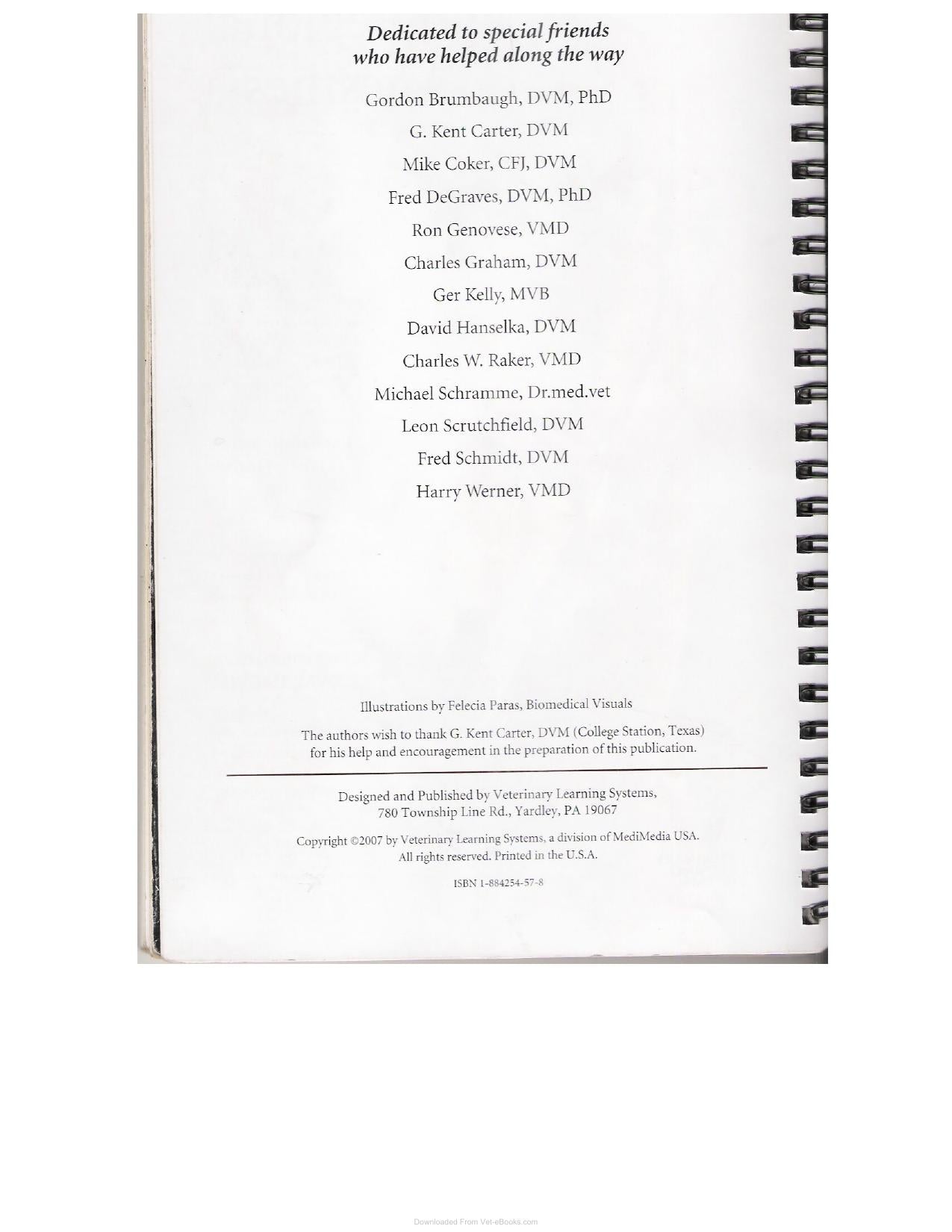 A Guide To Equine Joint Injection And Regional Anesthesia