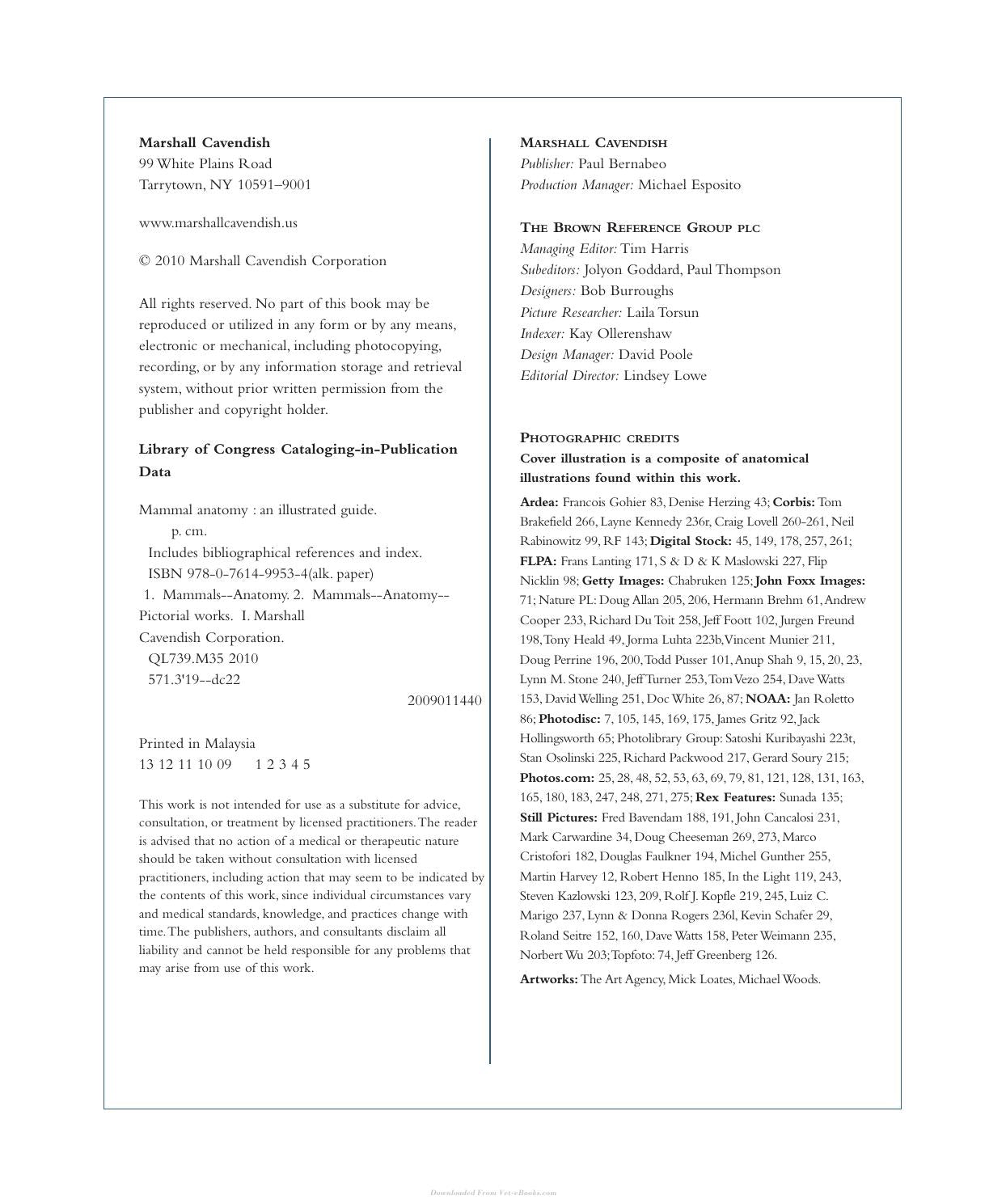 Look inside — page 3