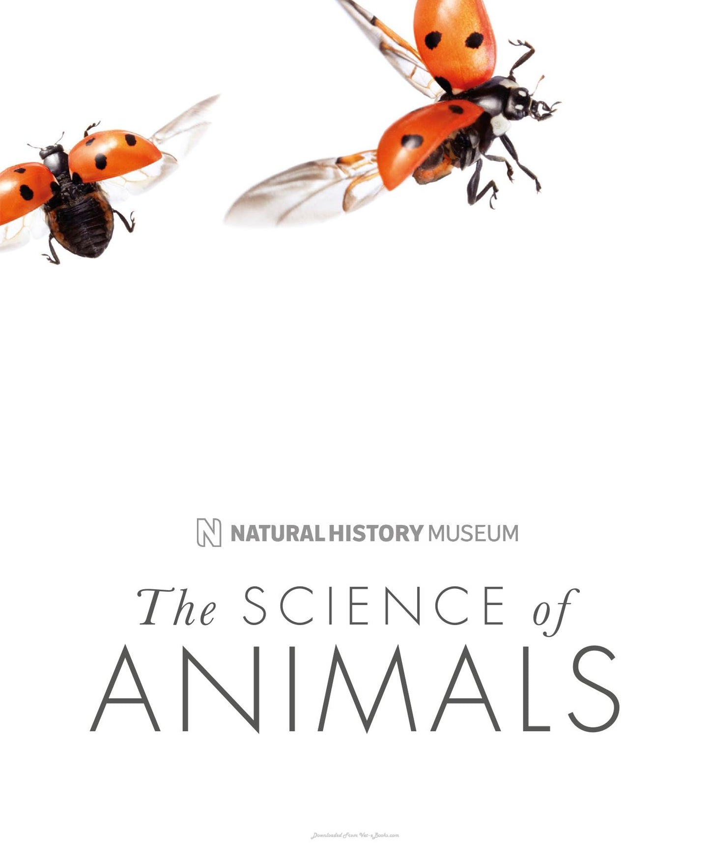 The Science Of Animals Inside Their Secret World