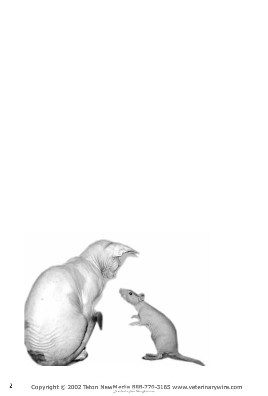Abdominal Radiology for the Small Animal Practitioner