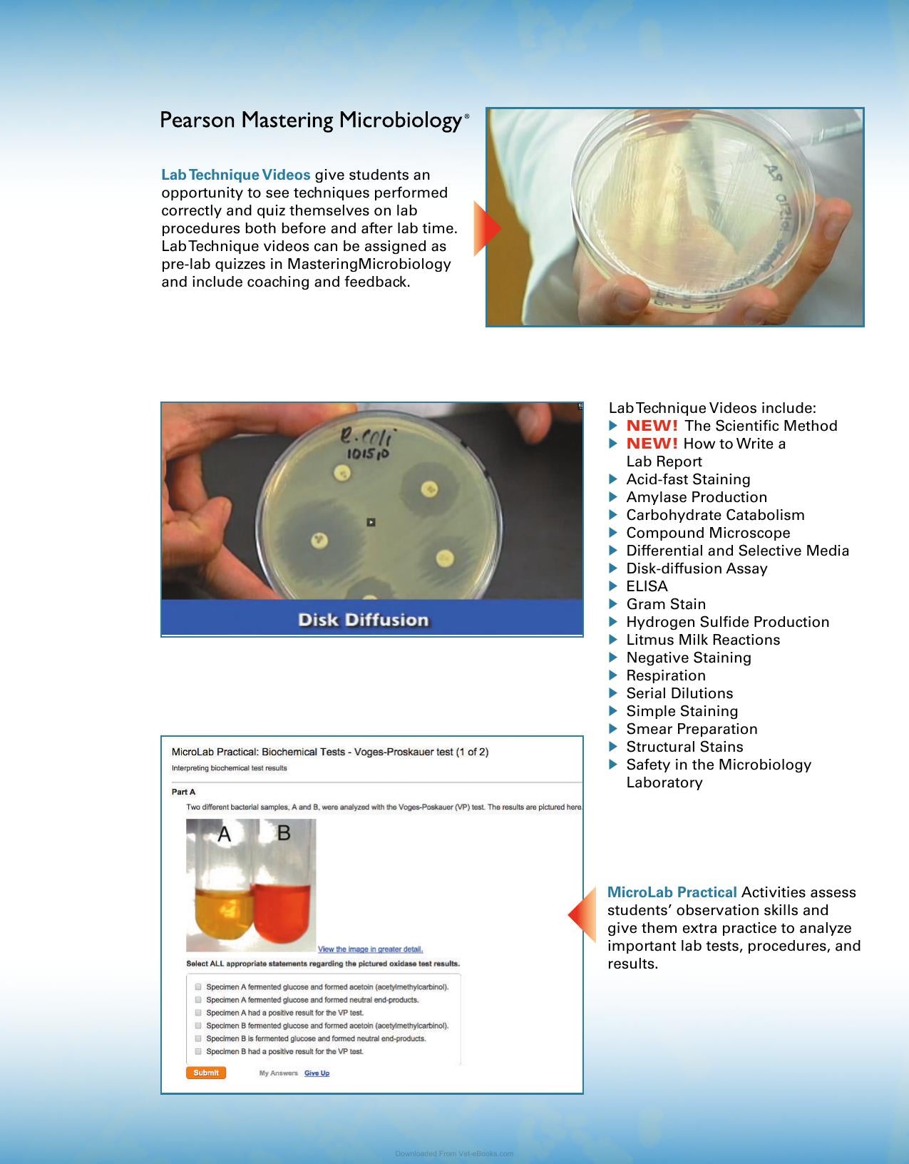 Look inside — page 4