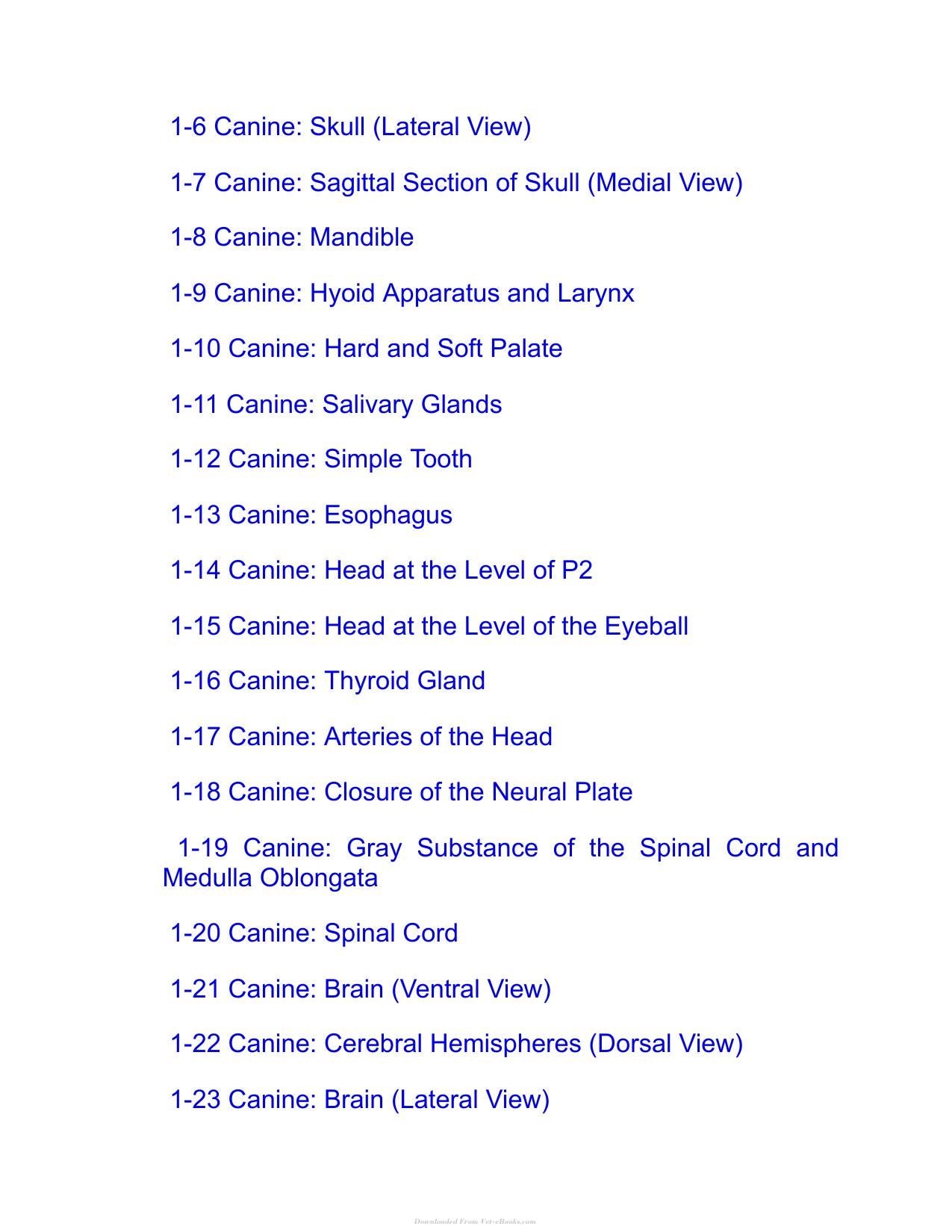 Saunders Veterinary Anatomy Flash Cards 2Nd Edition