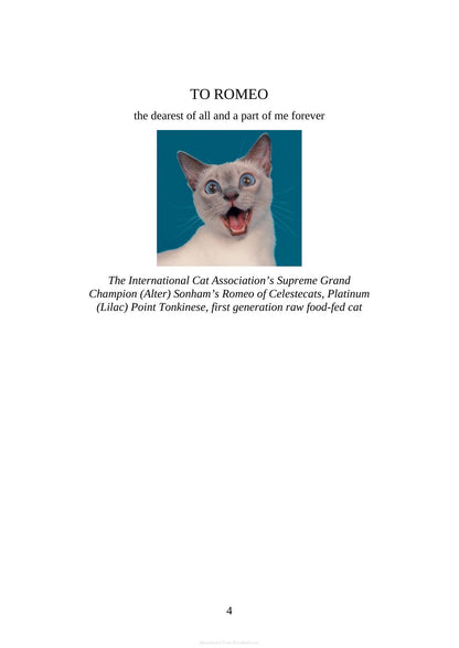 The Complete Guide to Holistic Cat Care an Illustrated Handbook