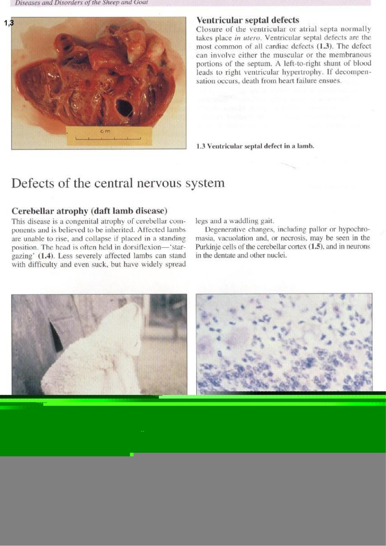 Look inside — page 4