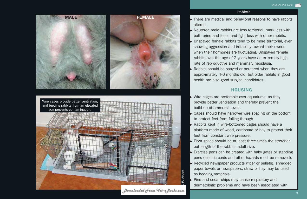 Look inside — page 4