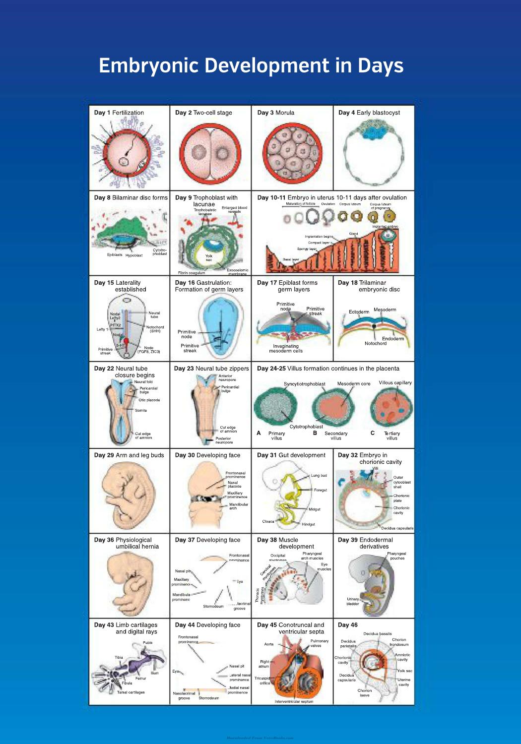 Look inside — page 4