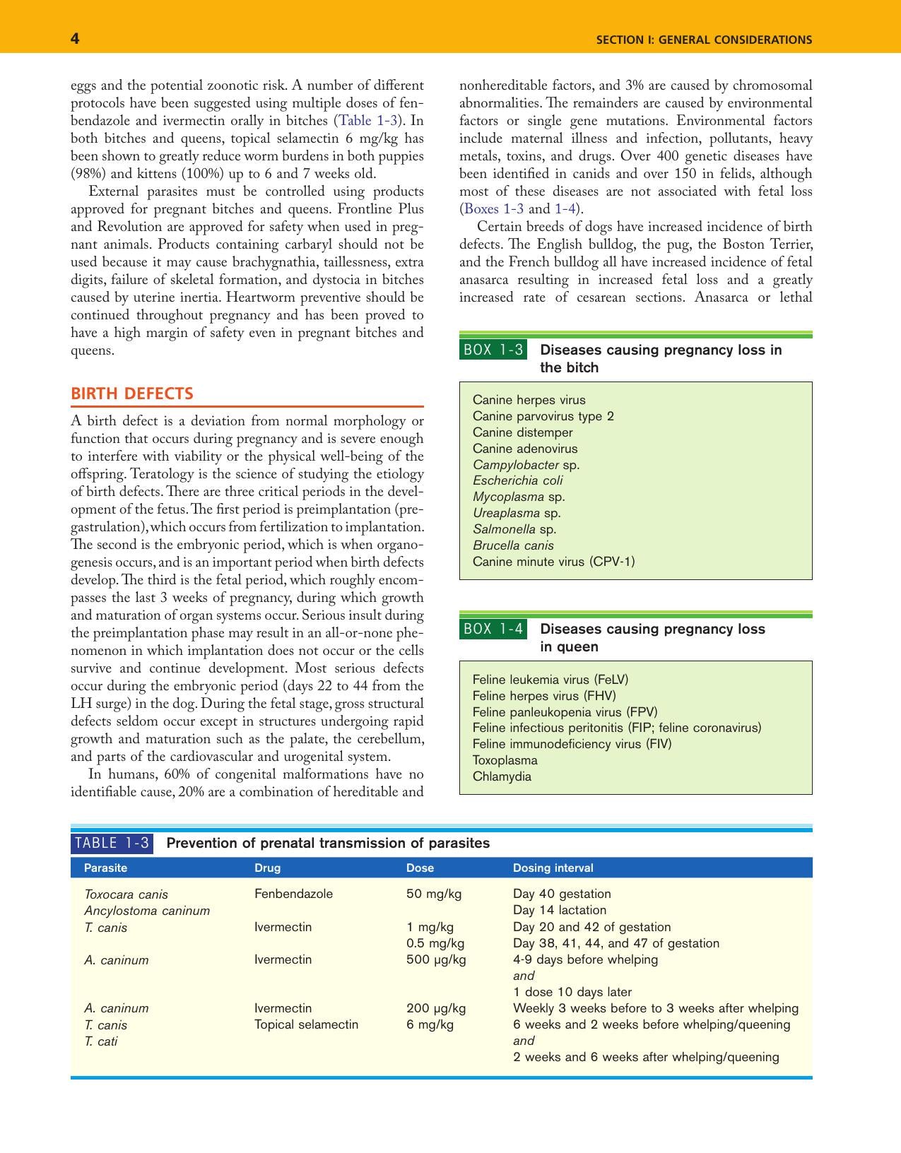 Look inside — page 4