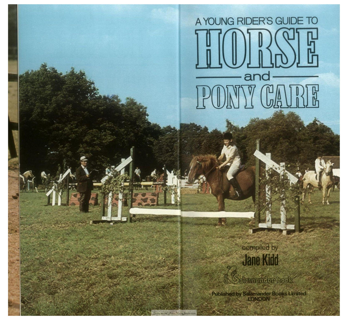 Young Riders Guide To Horse And Pony Care