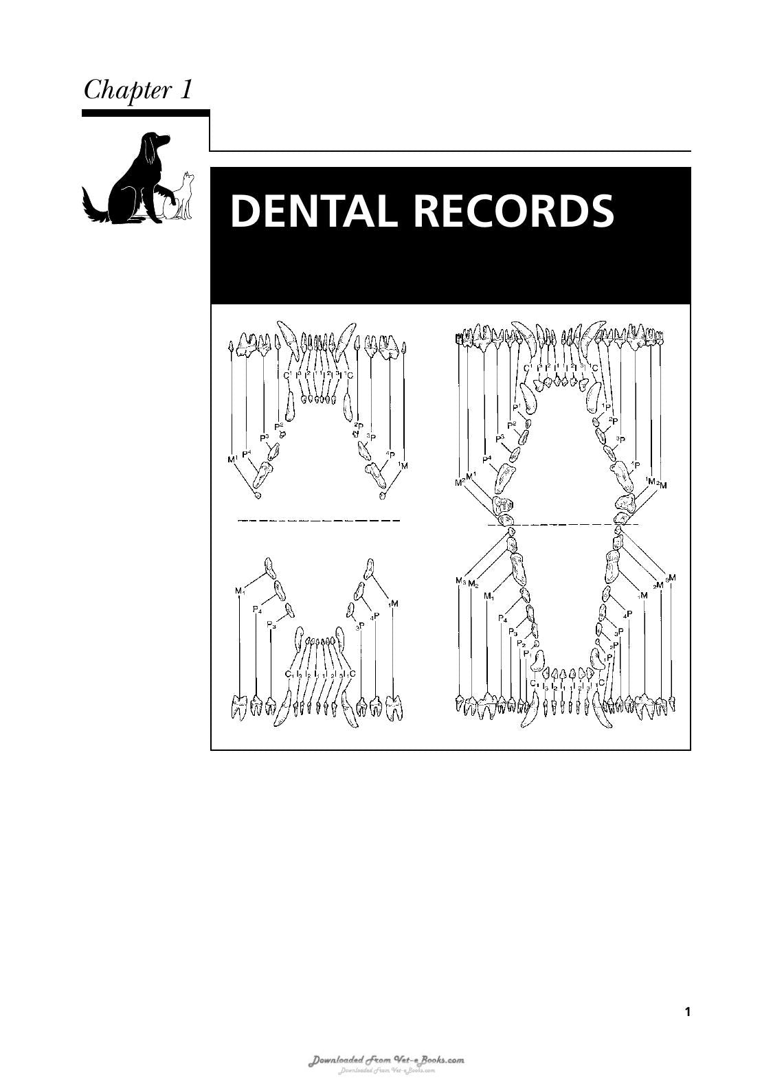 Veterinary Dental Techniques For The Small Animal Practitioner 3Rd Edition