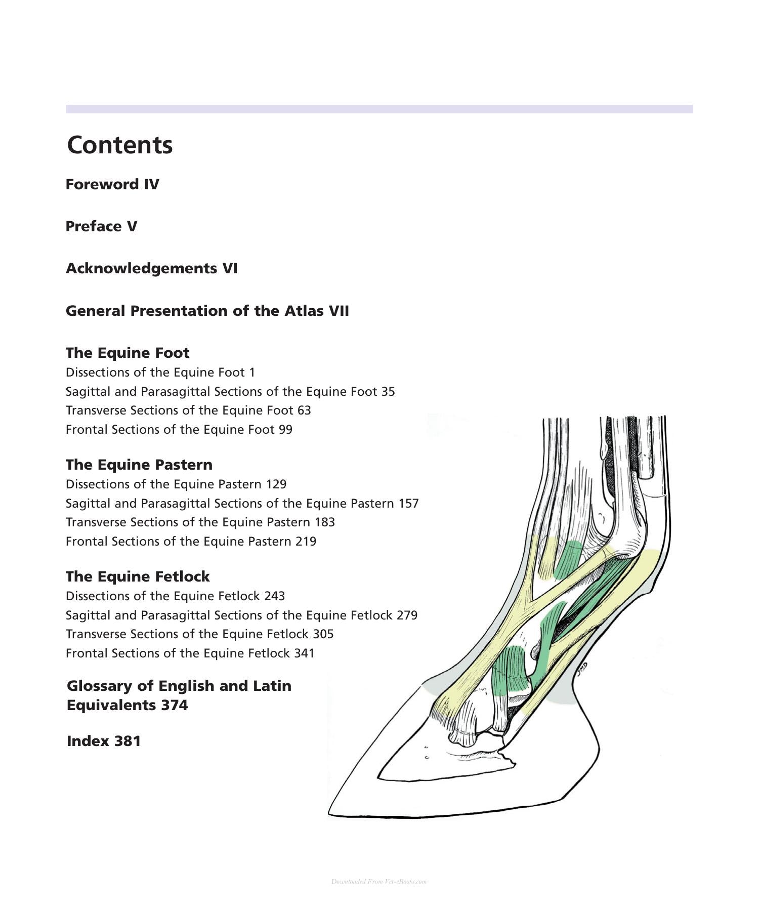 Look inside — page 4