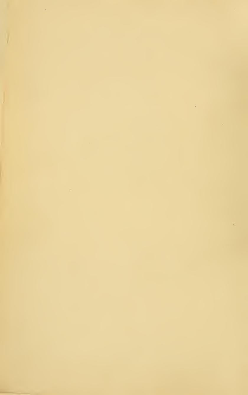 Look inside — page 4