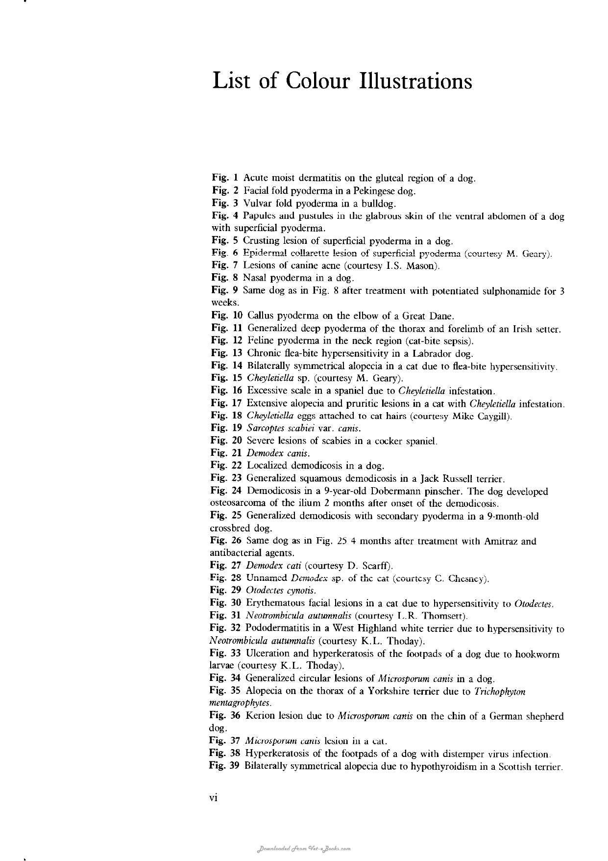 Skin Diseases In The Dog An Cat 2Nd Edition