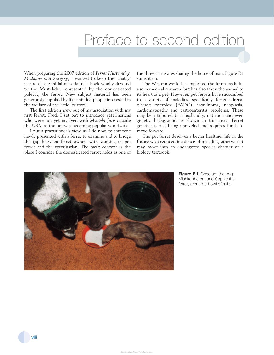Look inside — page 4