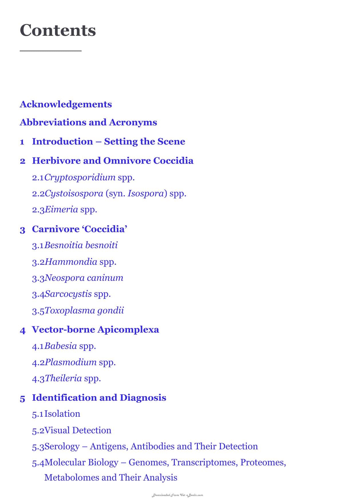 Apicomplexa In Livestock
