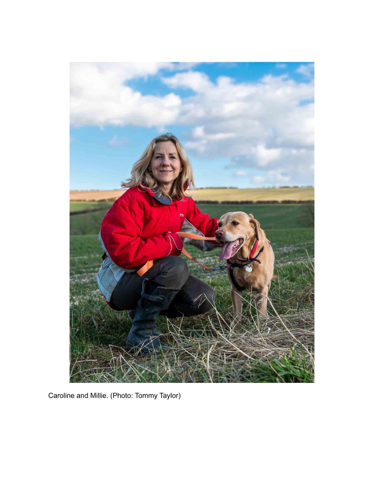 Fear And Anxiety In Dogs