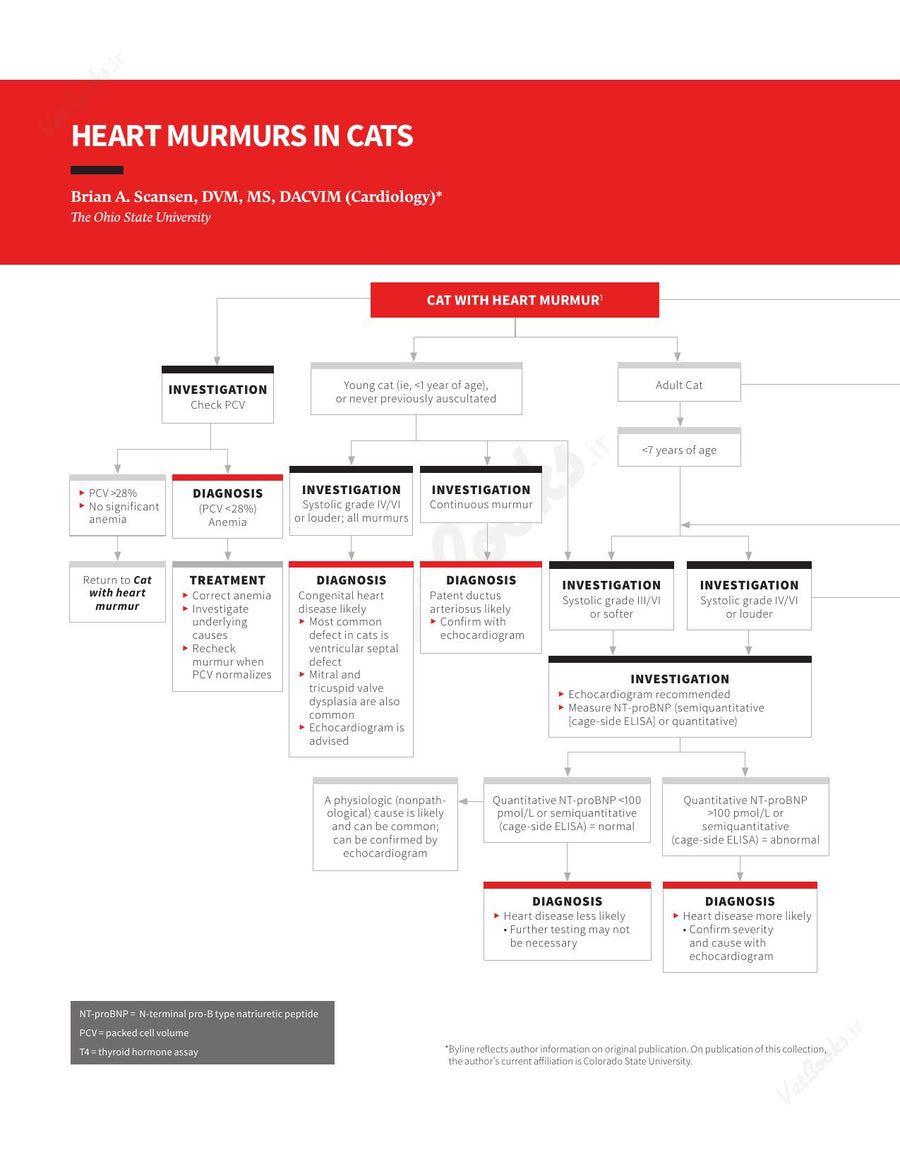 Preview page of Clinician's Brief Algorithms to Guide Your Diagnosis and Treatment