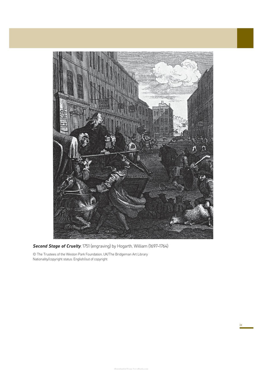 Preview page of Animal Abuse and Unlawful Killing Forensic Veterinary Pathology