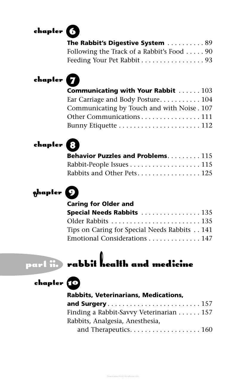 A House Rabbit Primer Understanding And Caring For Your Companion Rabbit