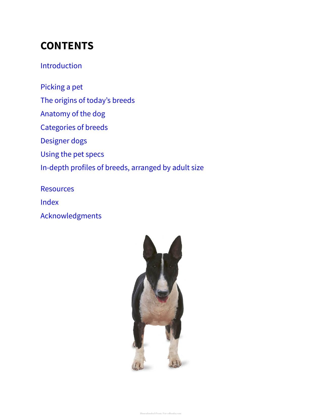 The Right Dog For You