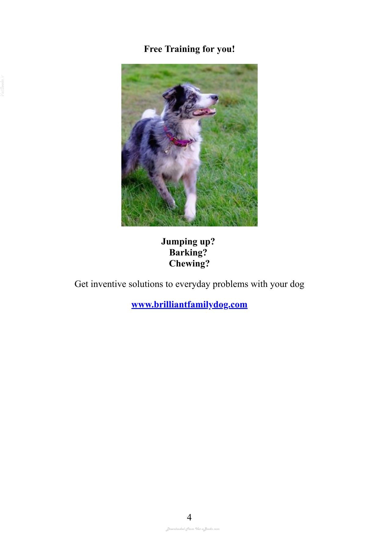 Essential Skills For A Brilliant Family Dog