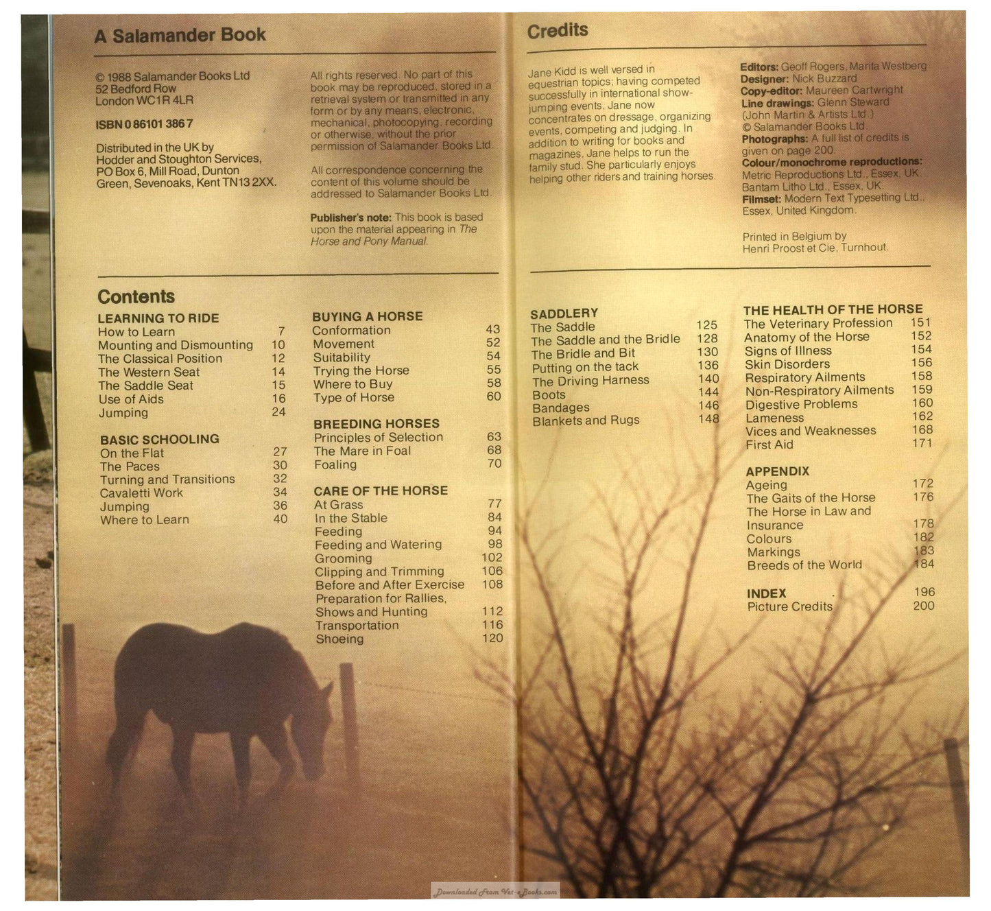 Young Riders Guide To Horse And Pony Care