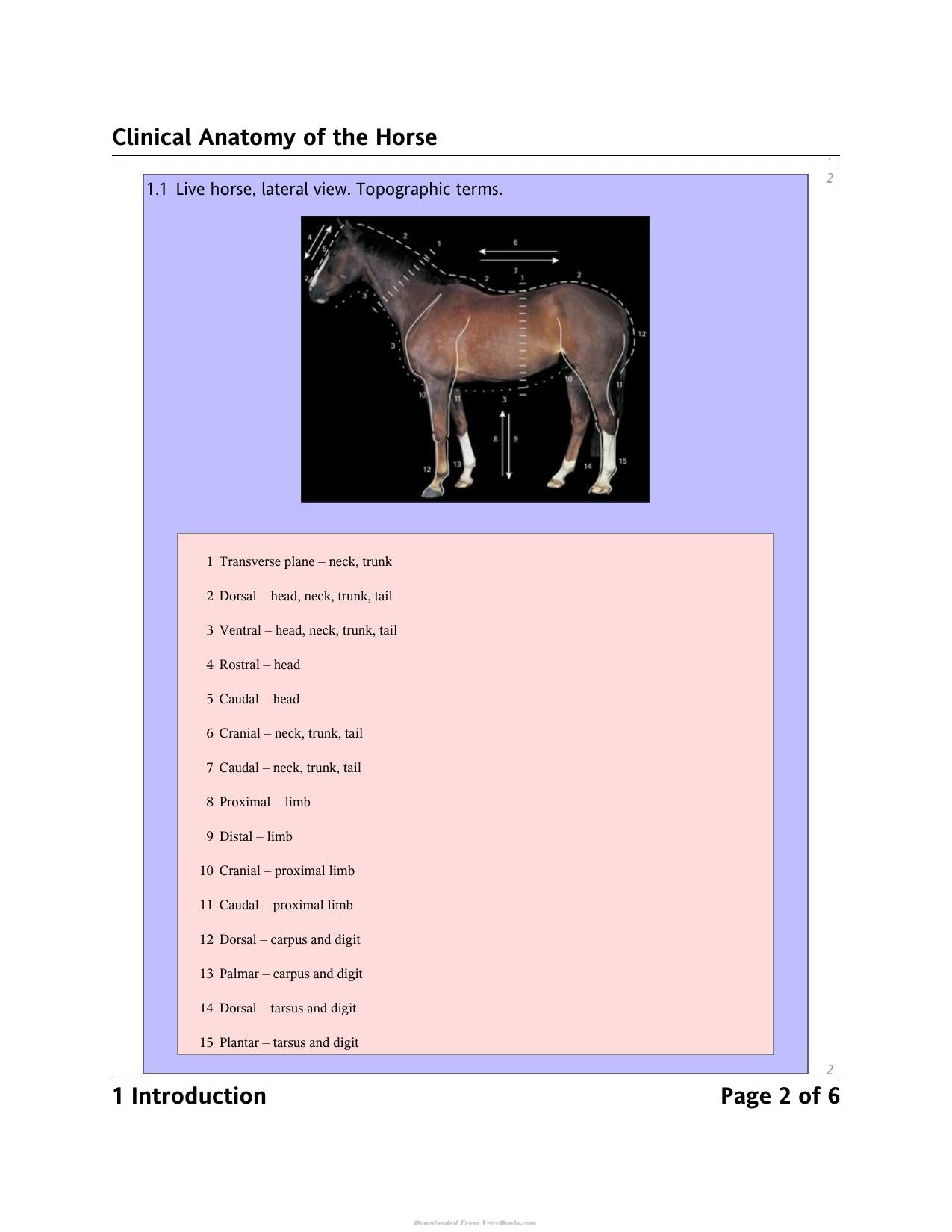 Look inside — page 5