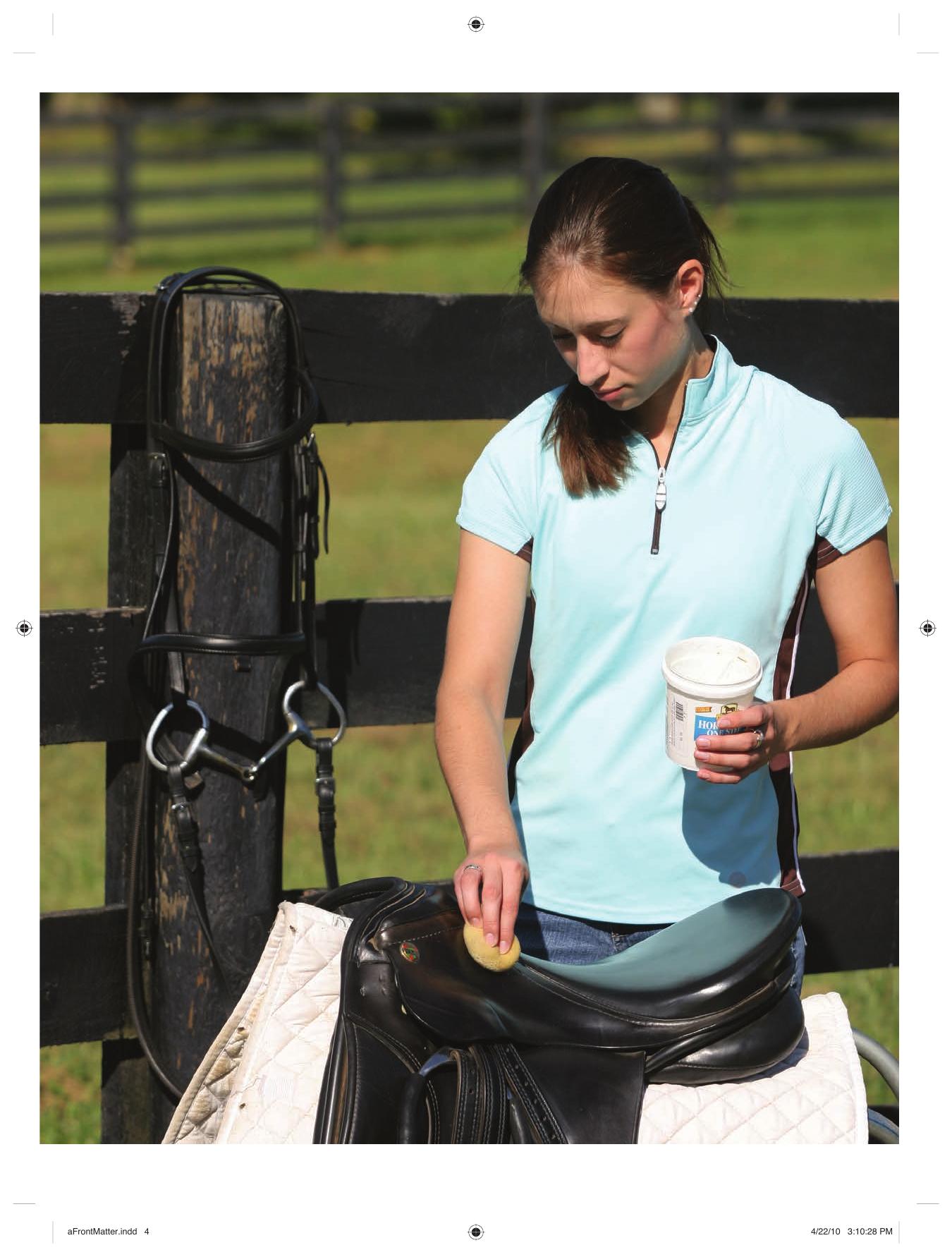 Caring For Your Horse