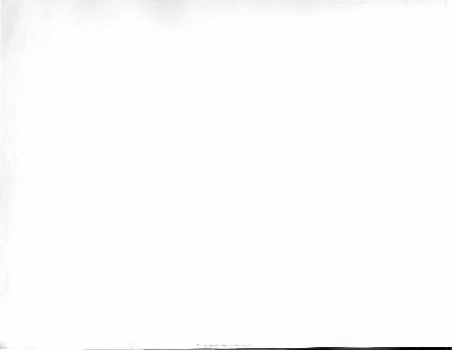 Look inside — page 5
