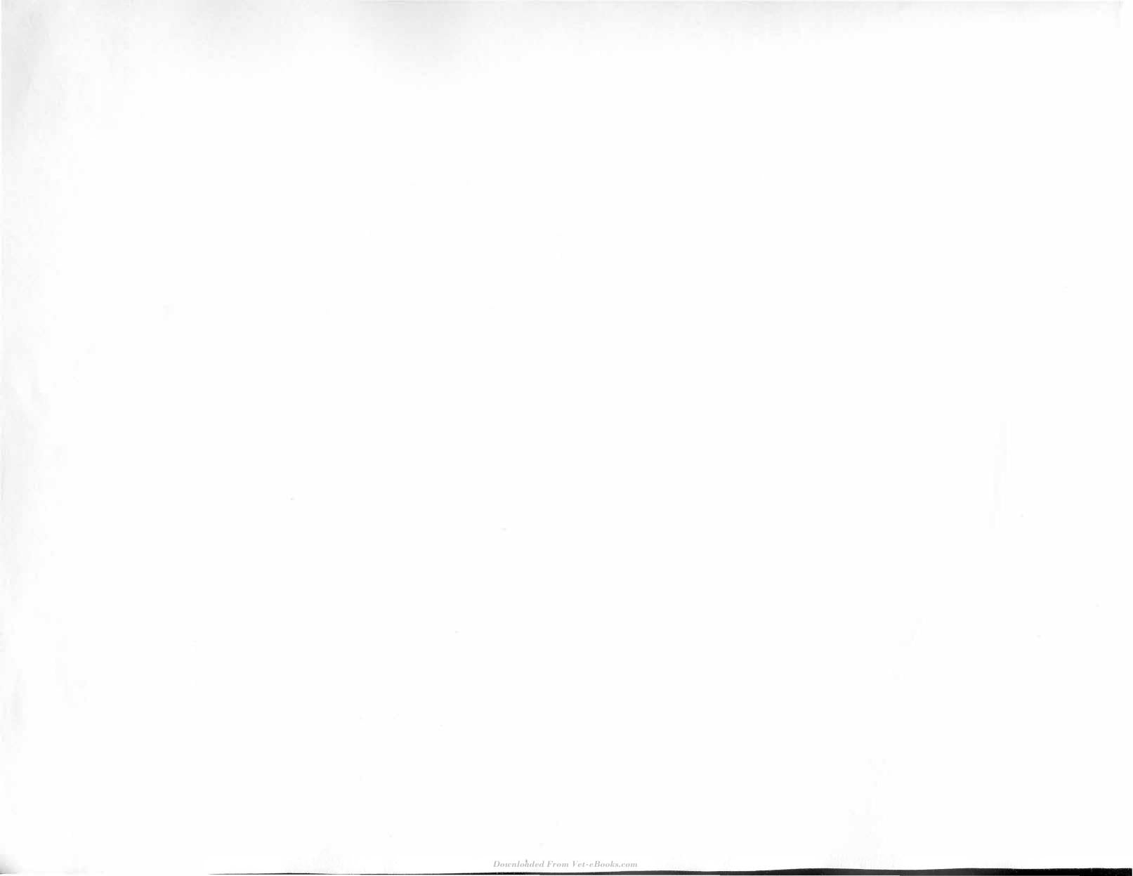 Look inside — page 5