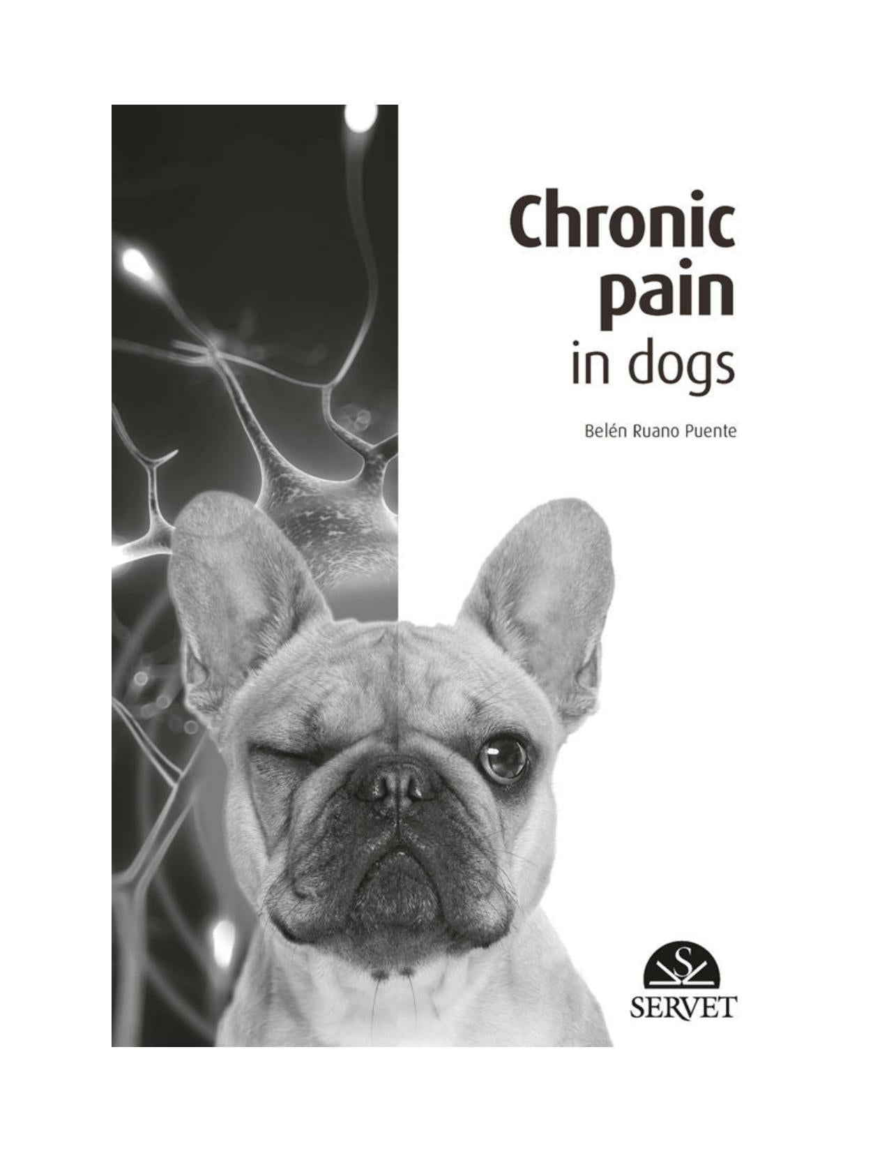 Chronic Pain In Dogs