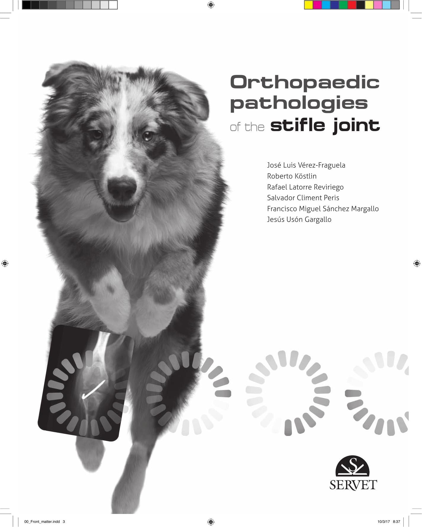 Orthopaedic Pathologies Of The Stifle Joint