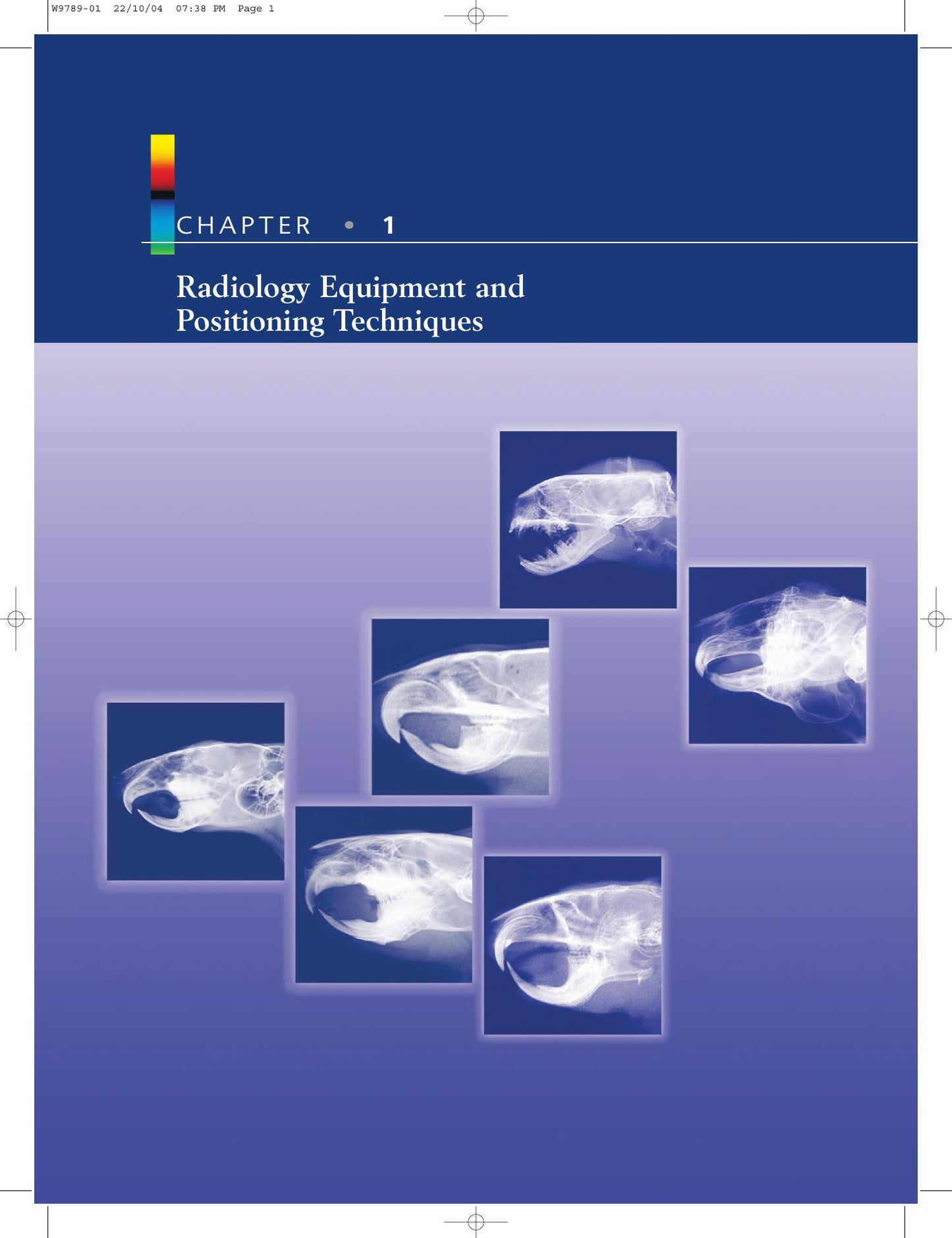 Radiology Of Rodents Rabbits And Ferrets An Atlas Of Normal Anatomy And Positioning
