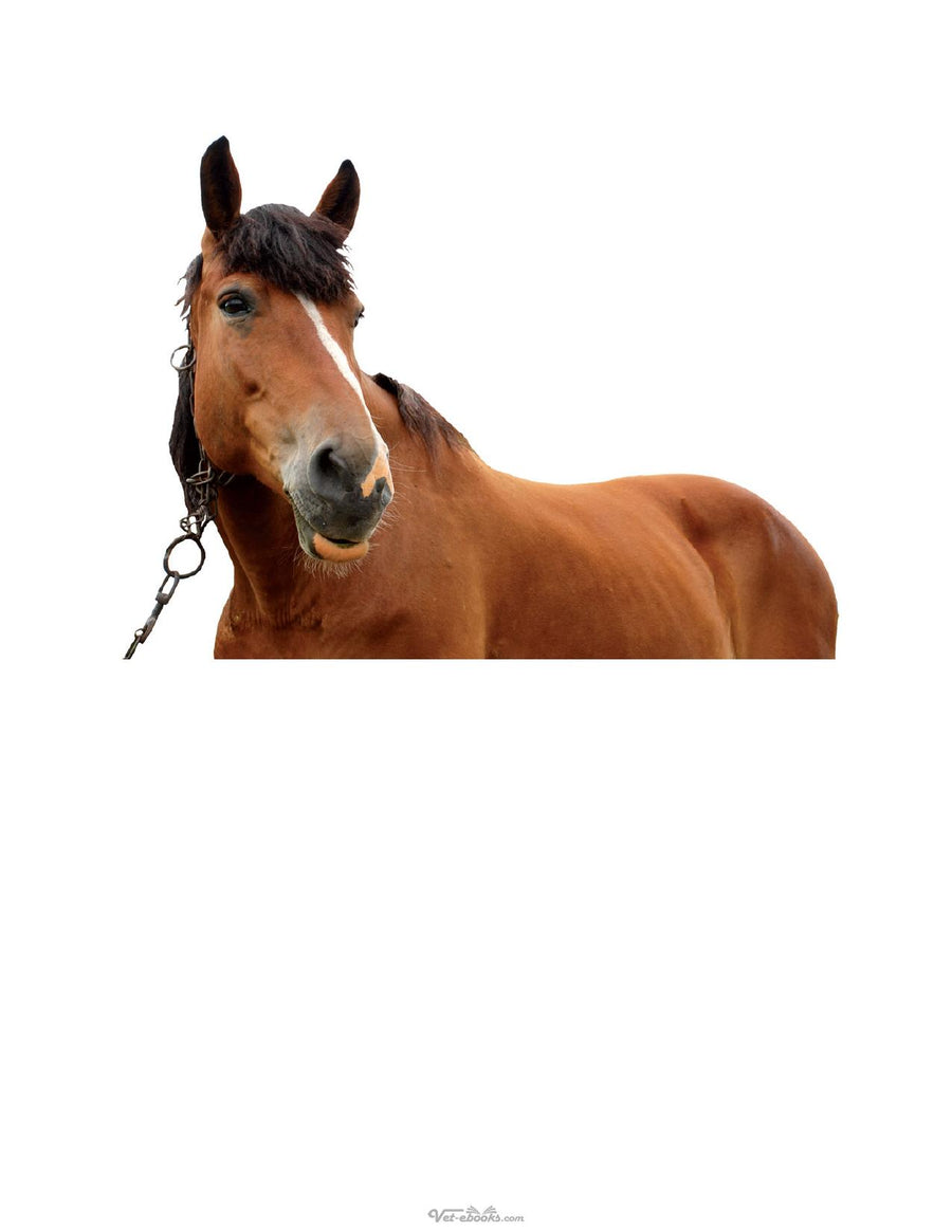 Preview page of 50 Q&A About Parasitic Infections of Horses