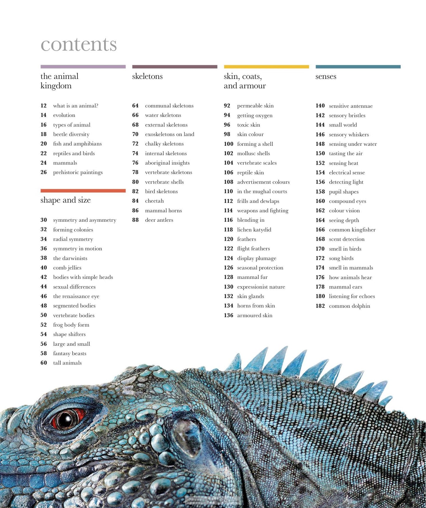 The Science Of Animals Inside Their Secret World