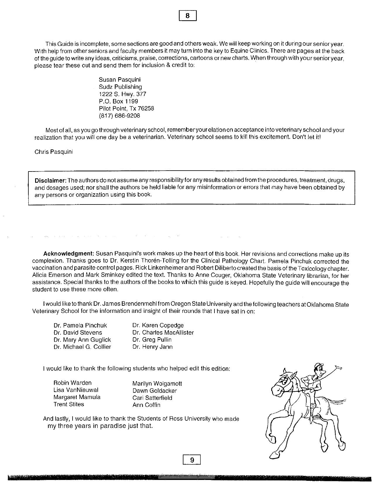 Guide to Equine Clinics 3RD Edition