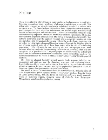 Look inside — page 6