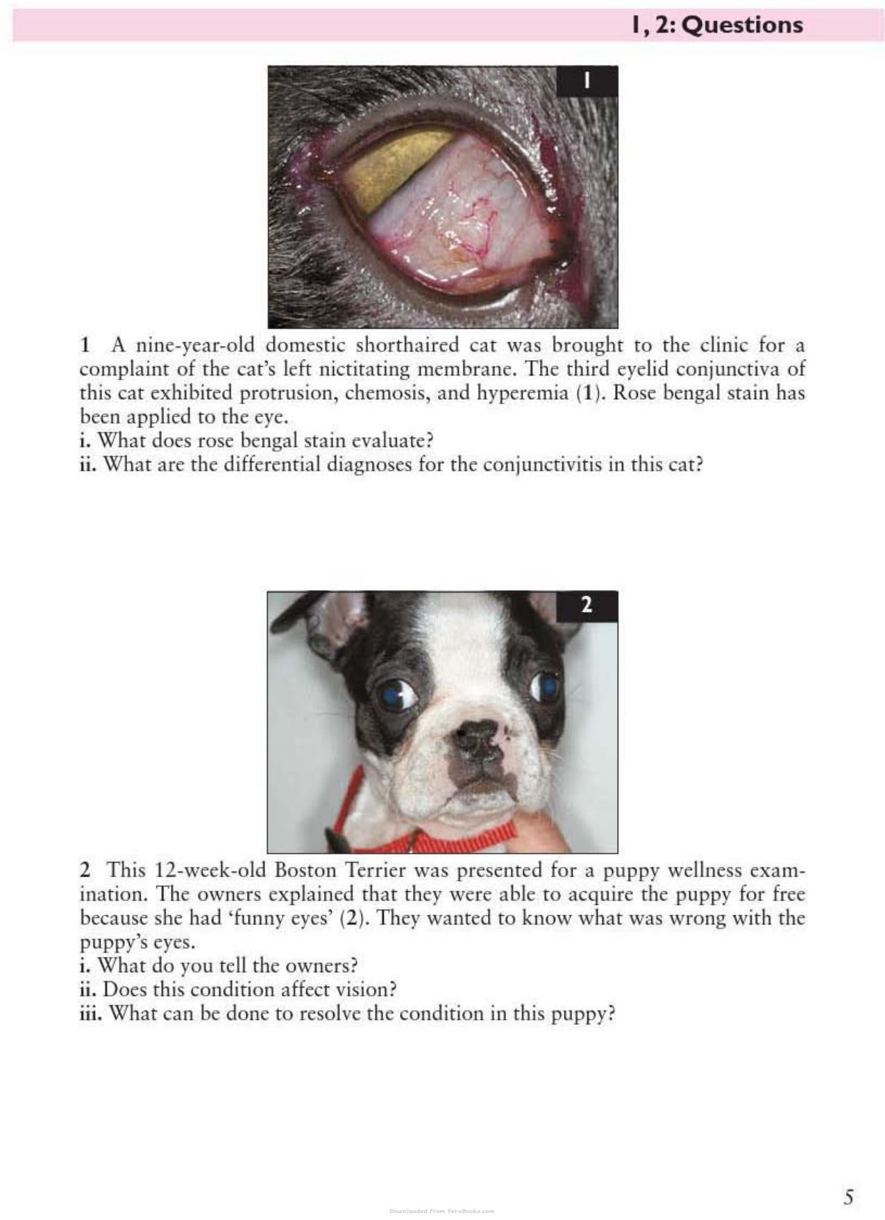 Look inside — page 6