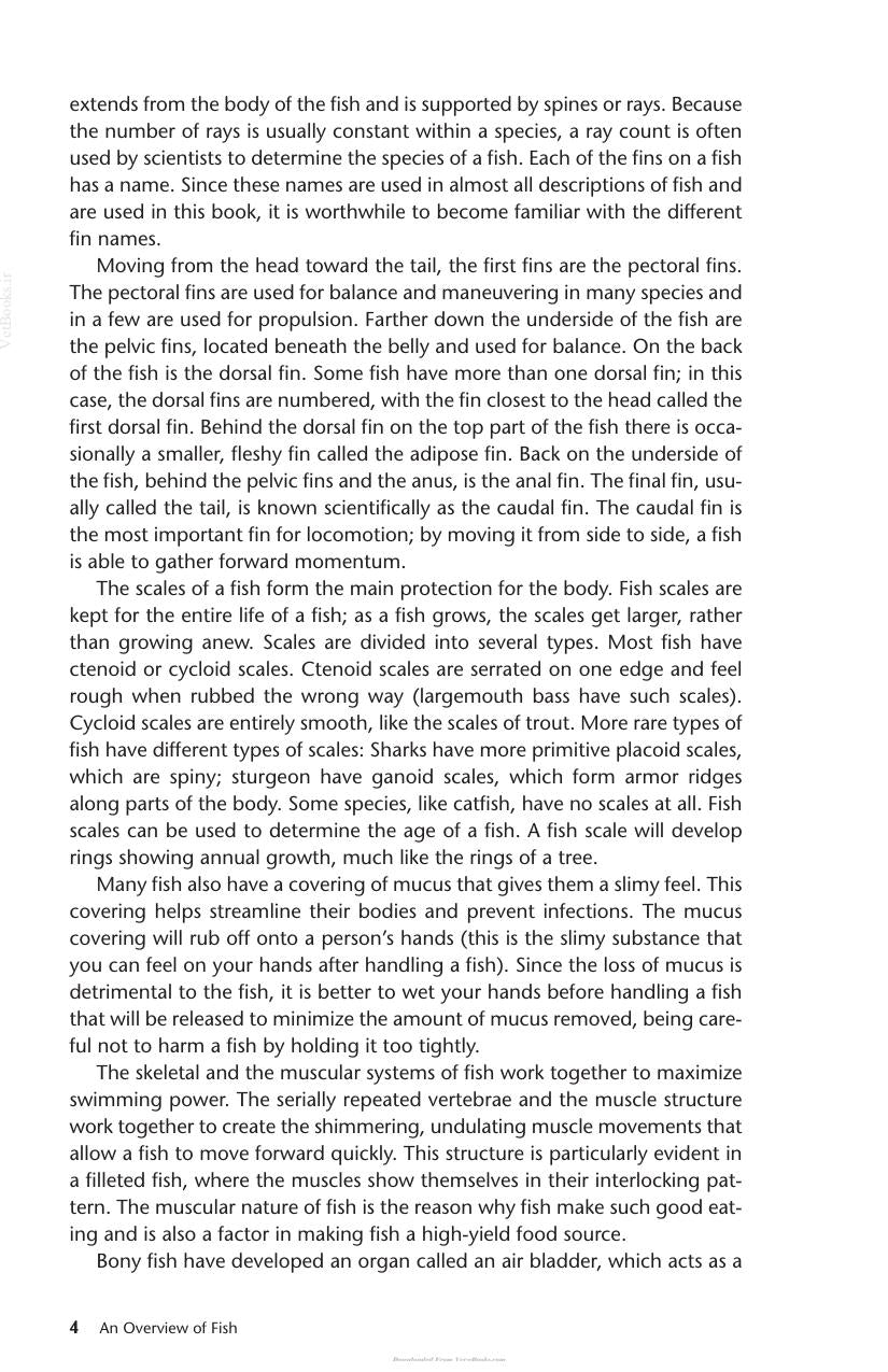 Look inside — page 6