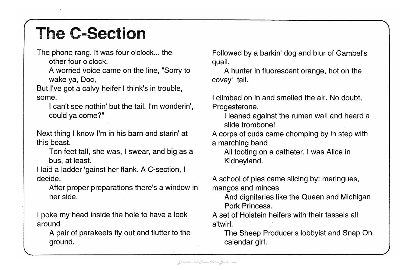 Guide To Bovine Clinics 4Th Edition