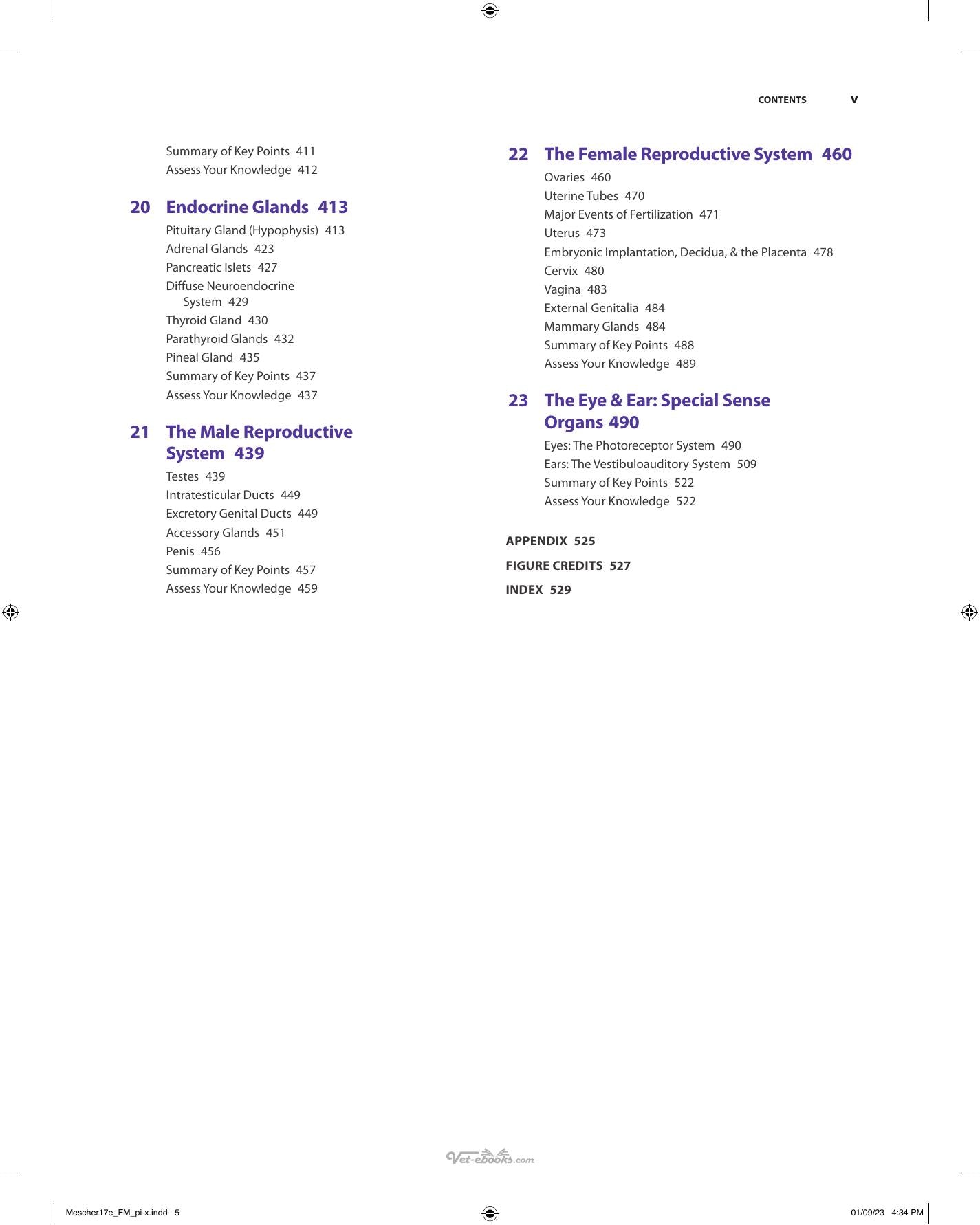 Look inside — page 6