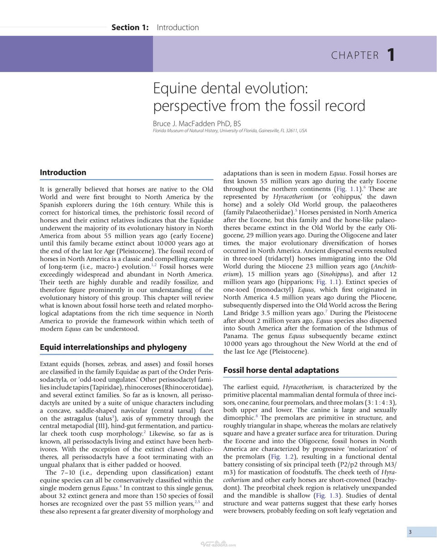 Preview page of Equine Dentistry 3rd Edition