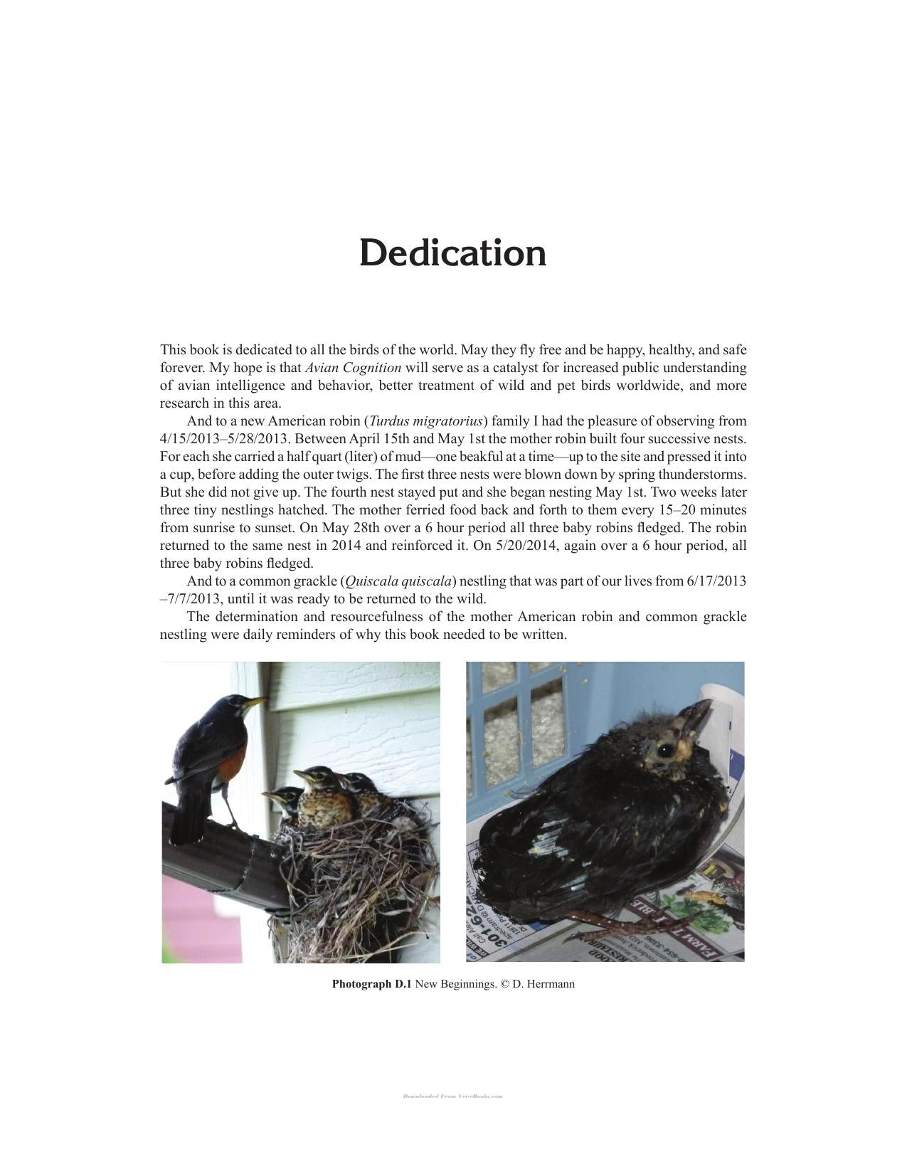 Avian Cognition Exploring The Intelligence Behavior And Individuality Of Birds