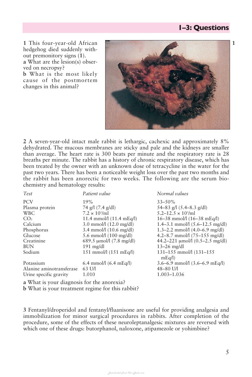 Look inside — page 6