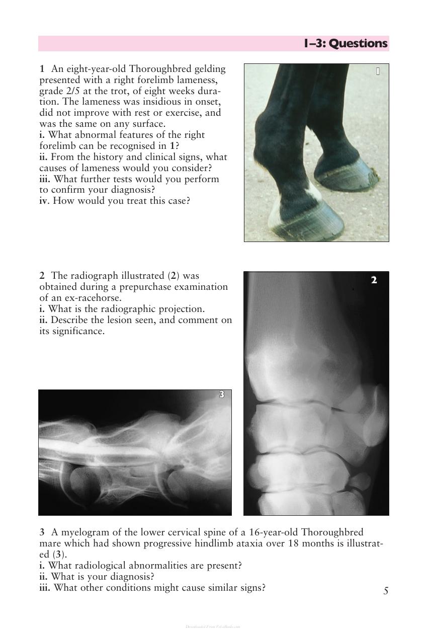 Look inside — page 6