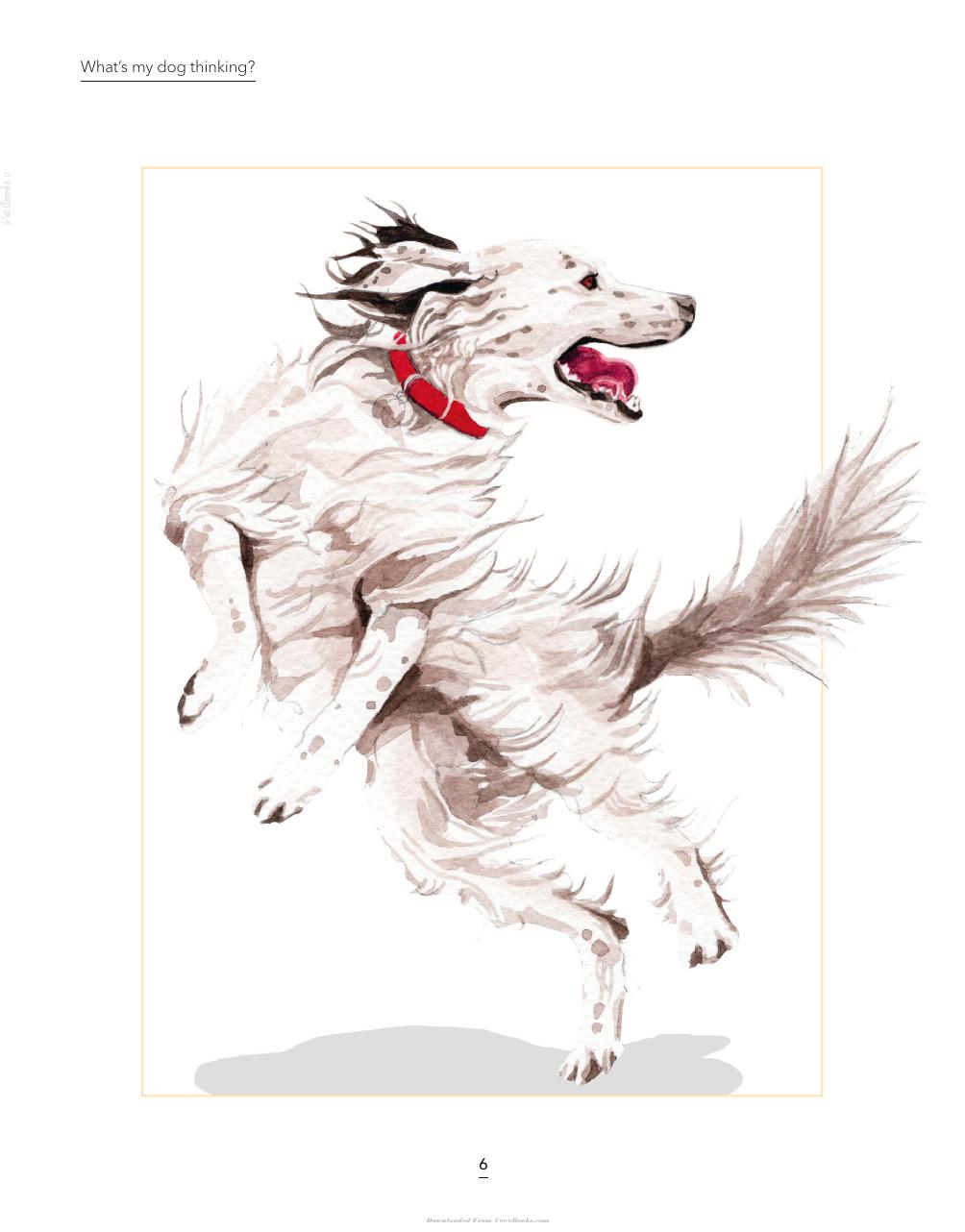 Whats My Dog Thinking Understand Your Dog To Give Them A Happy Life
