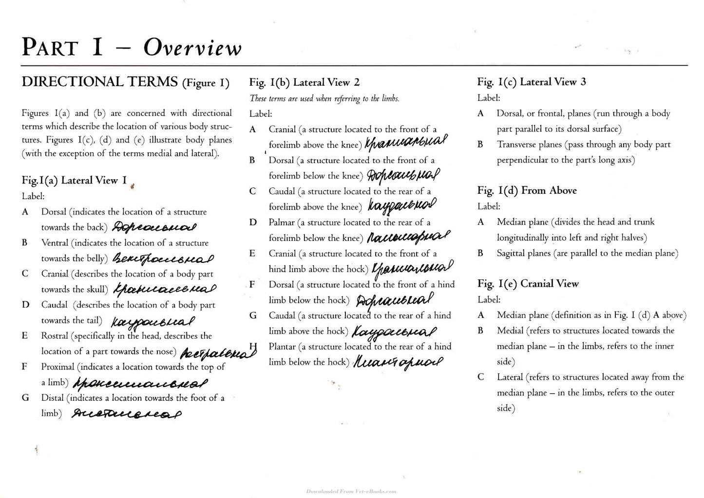 Look inside — page 6